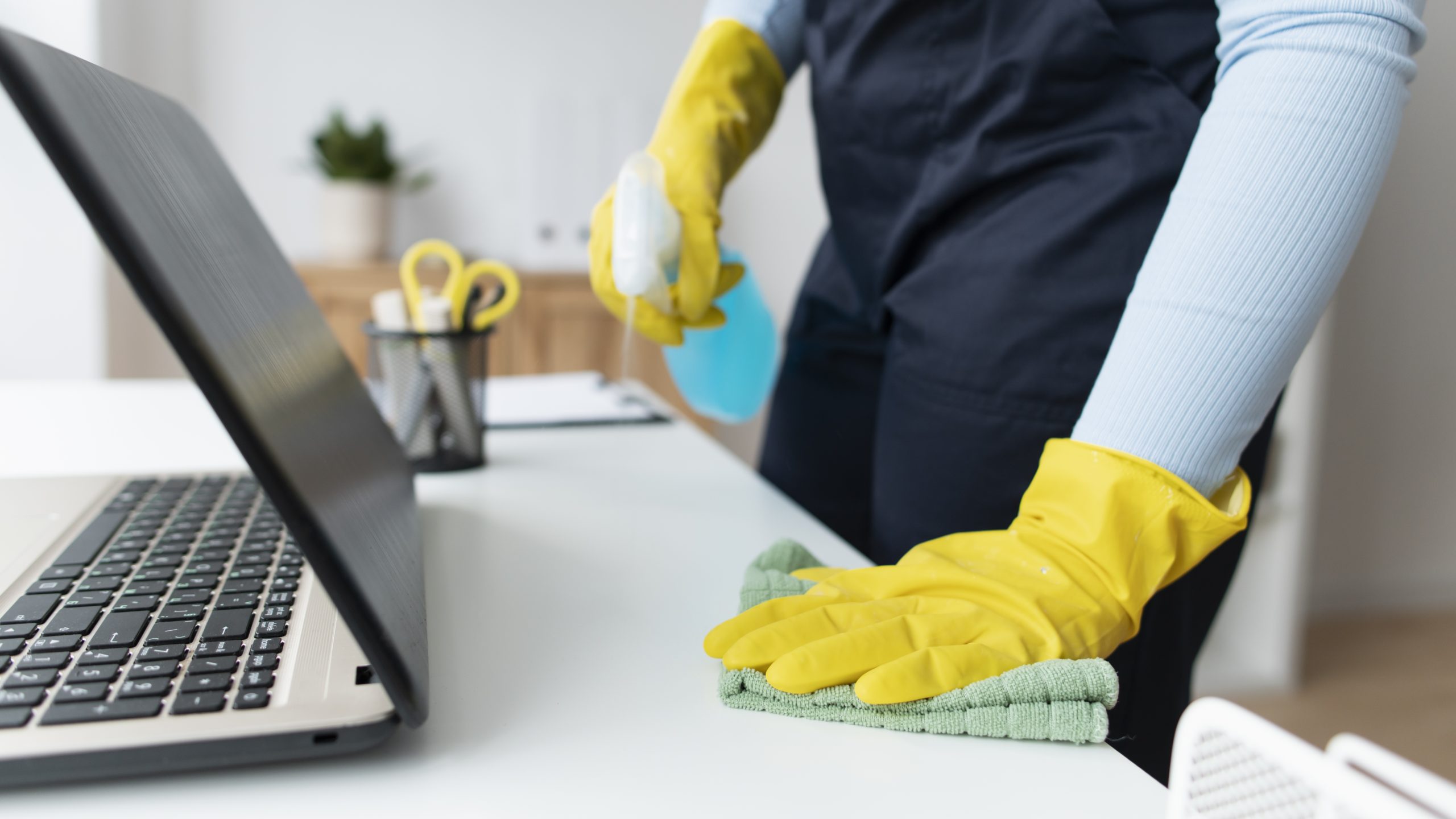 Property Maintenance